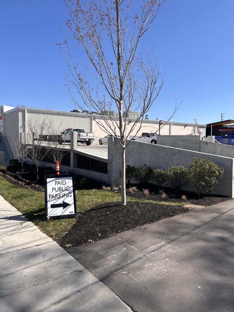 A sidewalk runs beside a parking lot entrance with a "Paid Public Parking" sign. A leafless tree stands near the curb. The lot contains parked cars and is bordered by shrubs and a concrete wall under a clear blue sky.