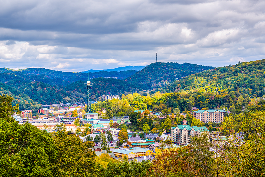 A scenic view of a small town nestled in a lush, green valley surrounded by forested hills and mountains under a cloudy sky. Buildings and a tall observation tower are visible among the trees.