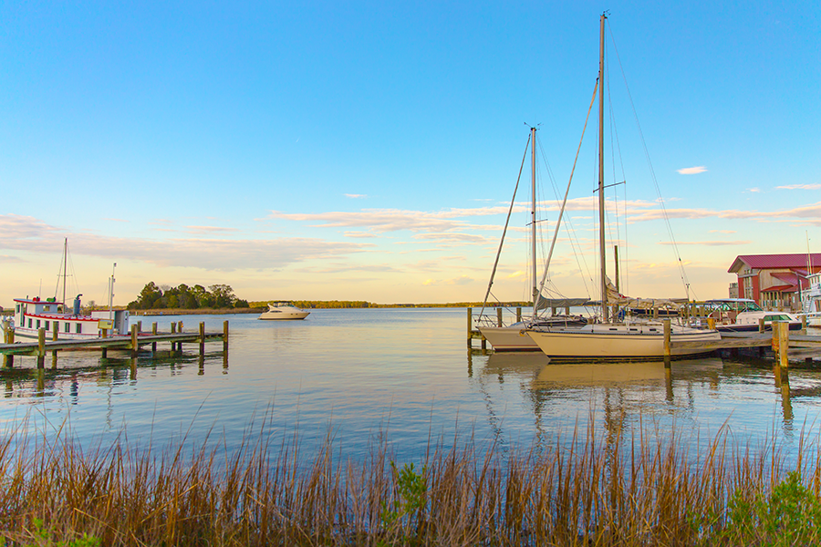 Several sailboats and a small motorboat are docked at a marina on calm water, with a grassy foreground and a building on the right, under a clear blue sky at sunset.